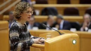 La ’consellera’ de Ensenyament de la Generalitat, Meritxell Ruiz, durante su intervención en el Senado este lunes.