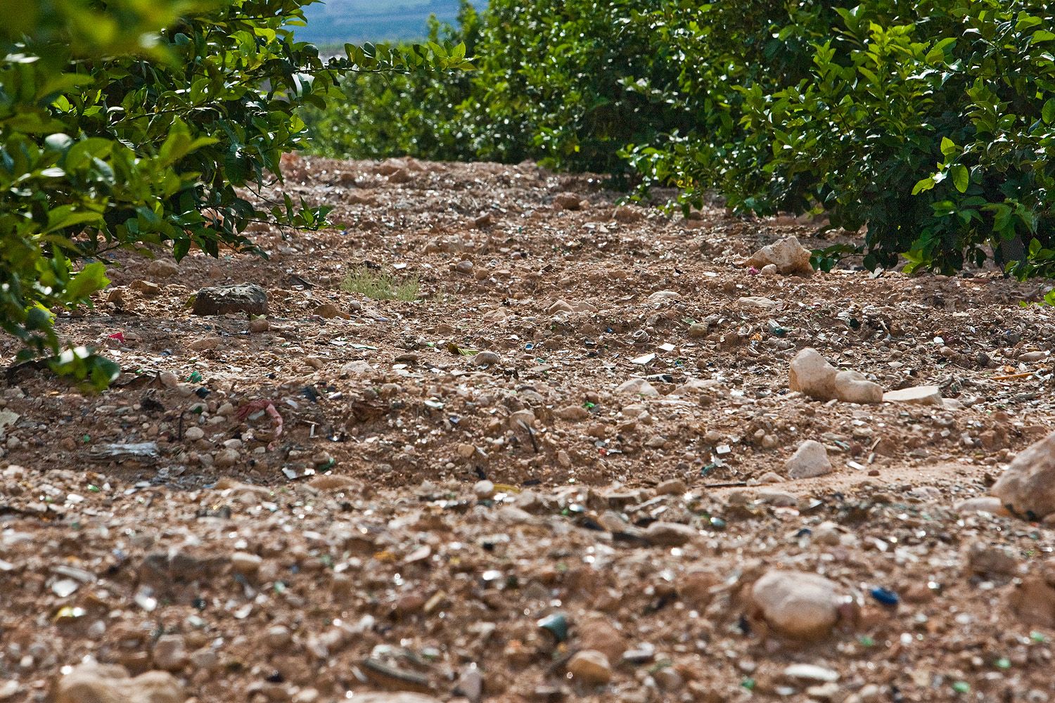 Fincas contaminadas, protestas vecinales, y catas de la Guardia Civil en las zonas de enterramiento de basura entre 2005 y 2011