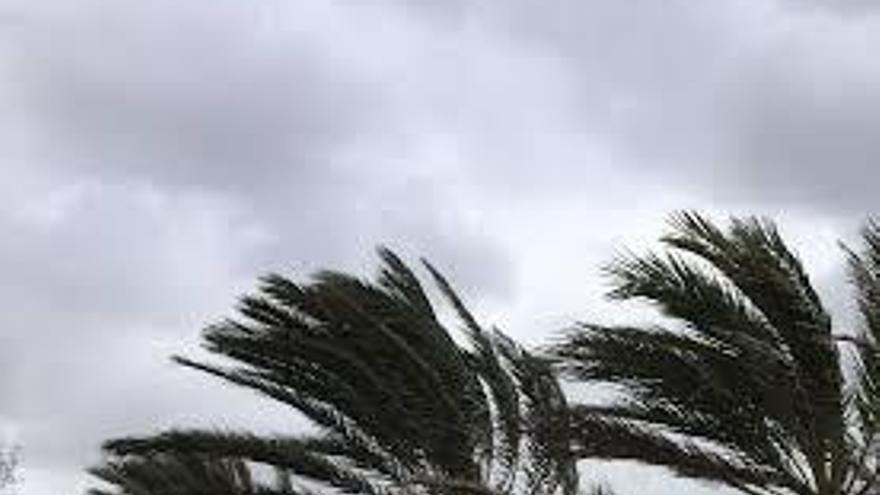 Las rachas fuertes de viento se mantienen un día más en Canarias