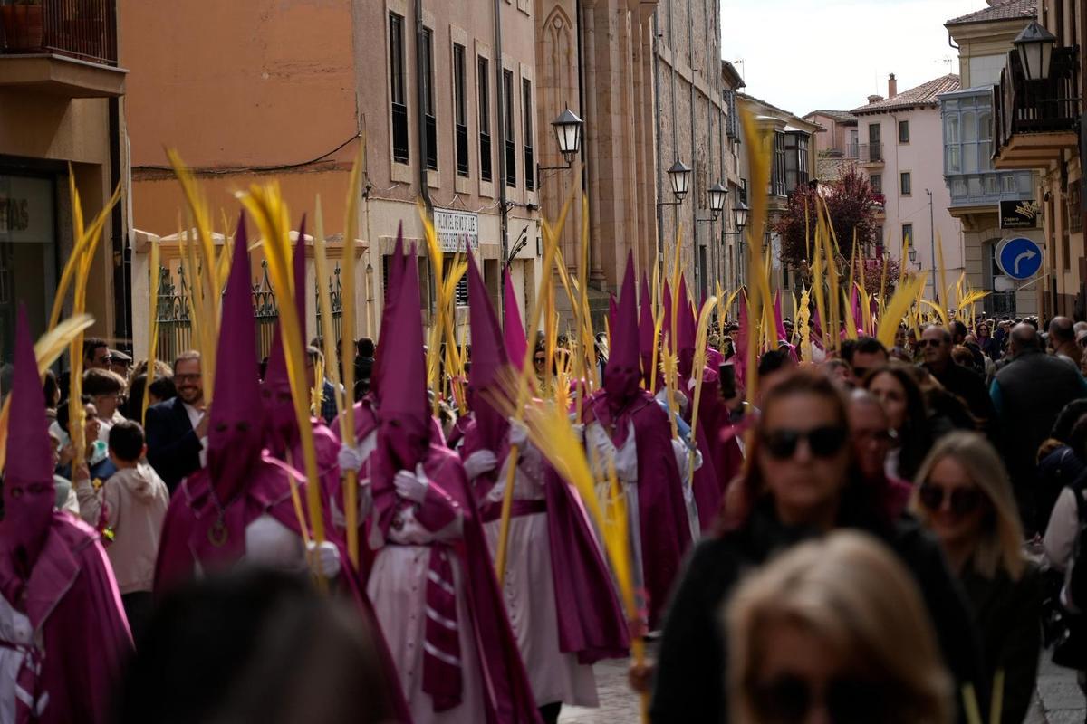 La Procesión de La Borriquita en Zamora, en imágenes La Procesión de La Borriquita en Zamora, en imágenes