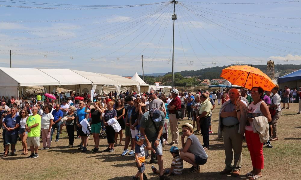 A Lanzada, en busca de la fertilidad