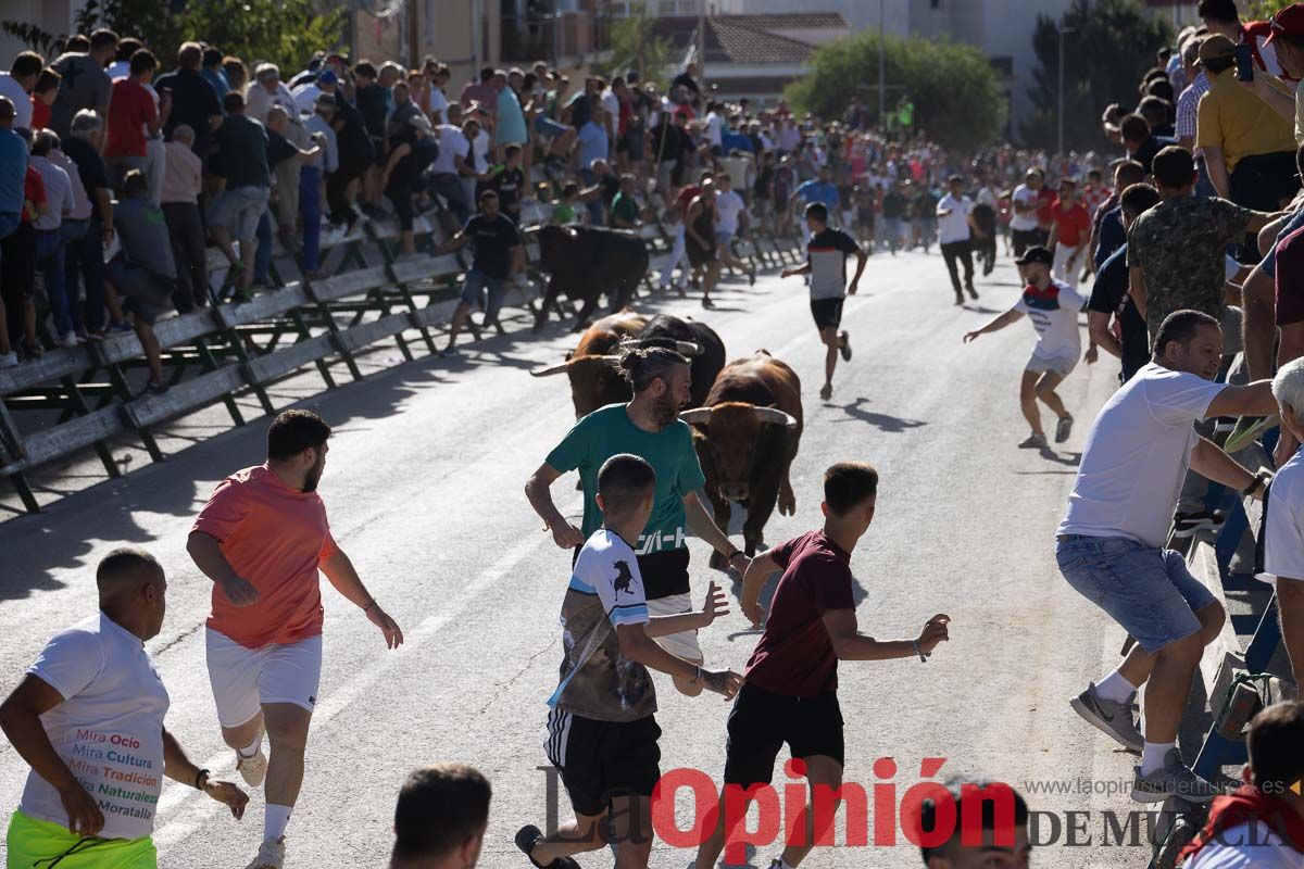 Sexto encierro de la Feria del Arroz de Calasparra