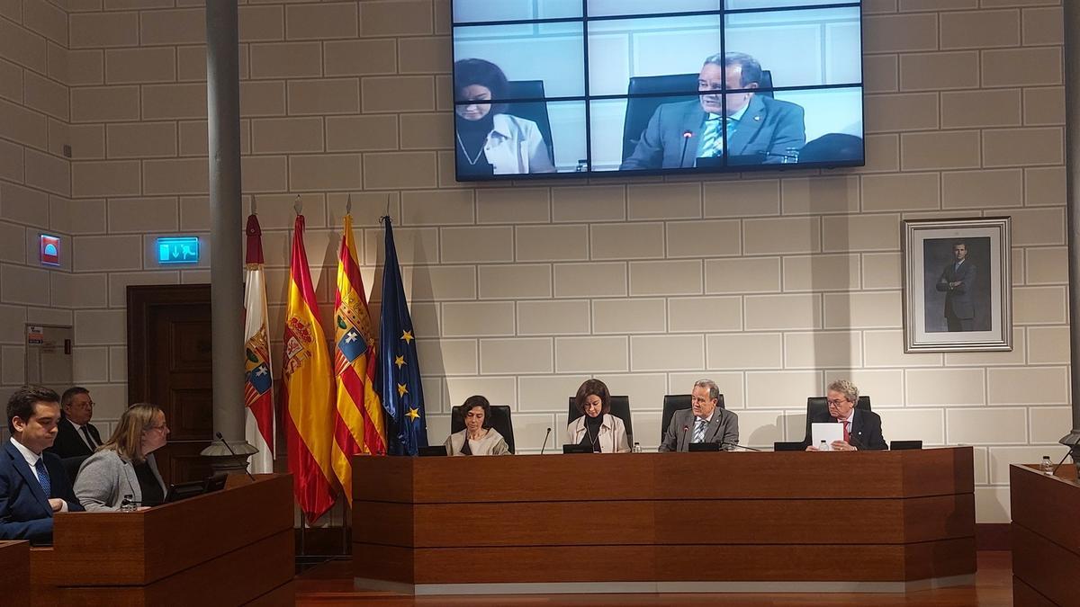 Pleno de la Diputación Provincial de Zaragoza (DPZ).
