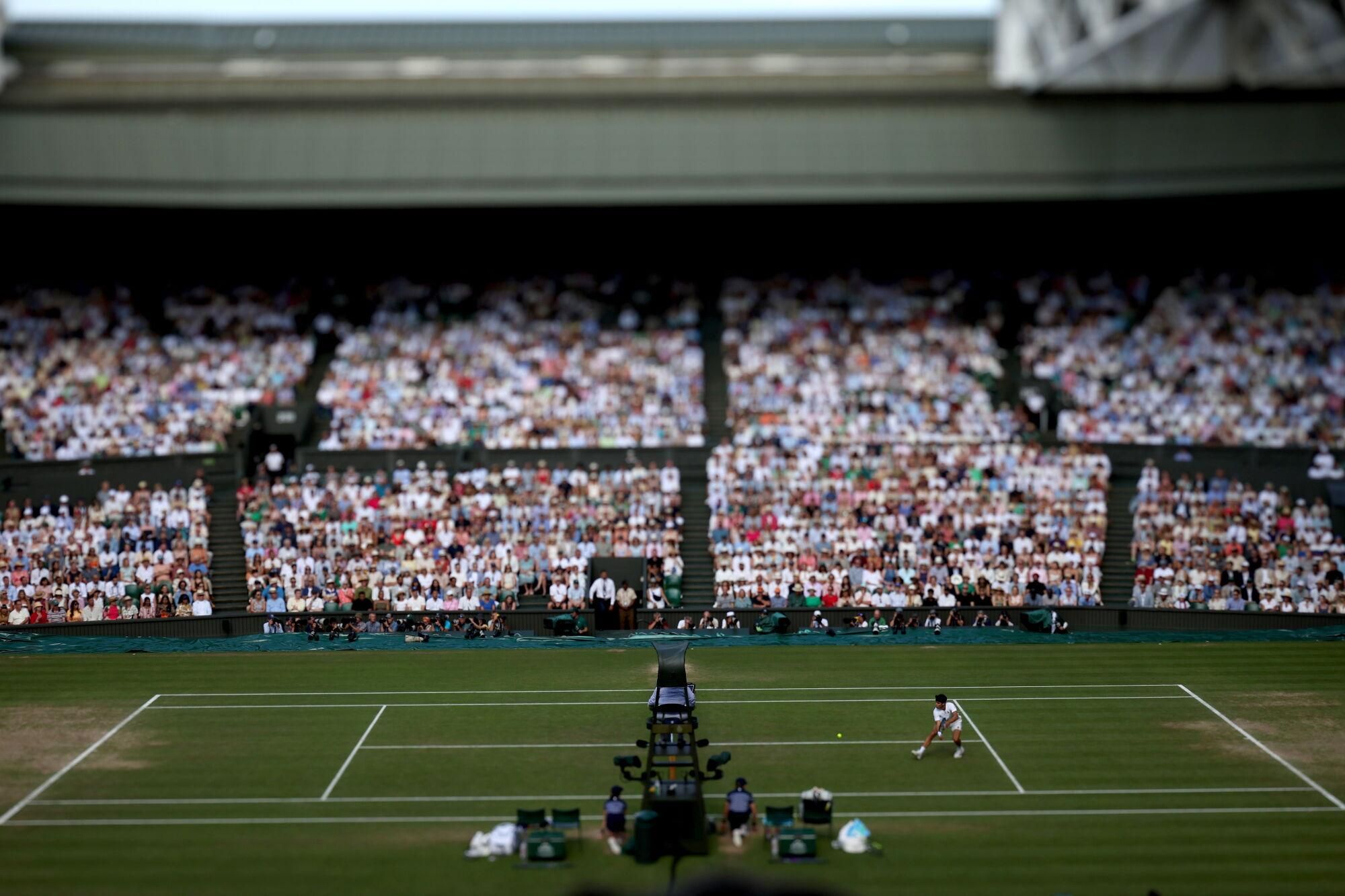 Final de Wimbledon: Jannik Sinner - Carlos Alcaraz.