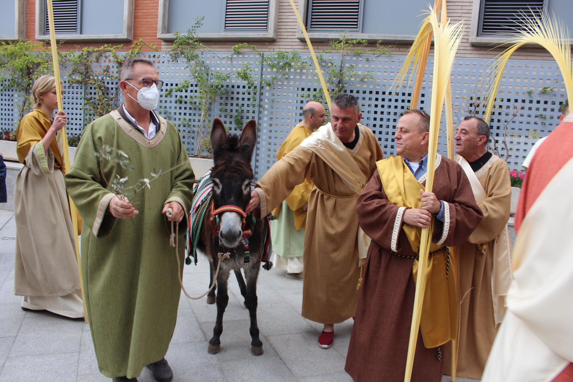 Domingo de Ramos en Beniferri con la burrita "Matilde"