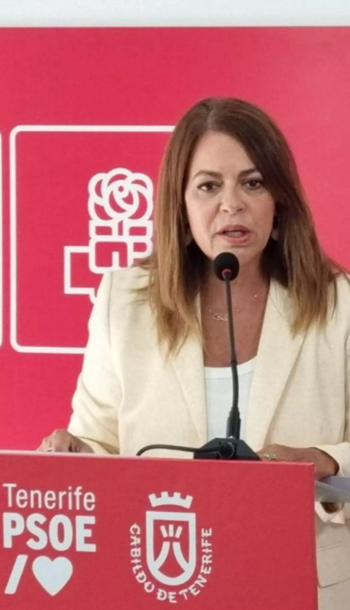 El PSOE pide la emergencia por «inoperancia» de Rosa Dávila