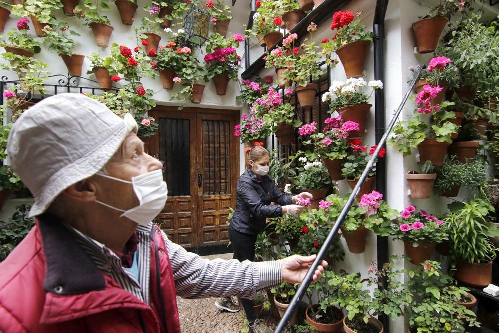 Los patios cordobeses, confinamiento interior por el coronavirus