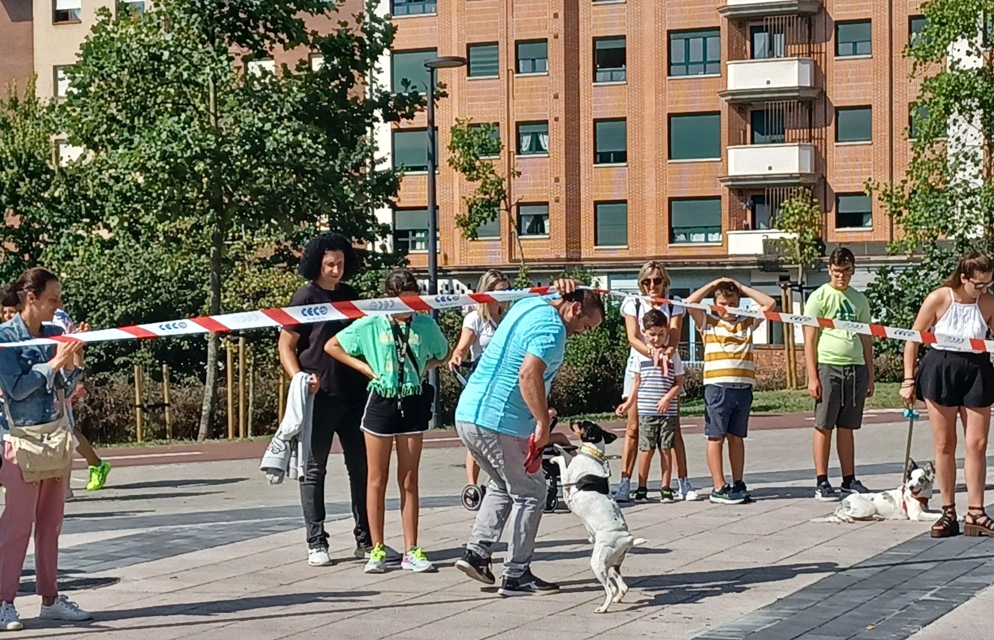 Desfile de perros en Llanera: así fue el concurso popular de canes