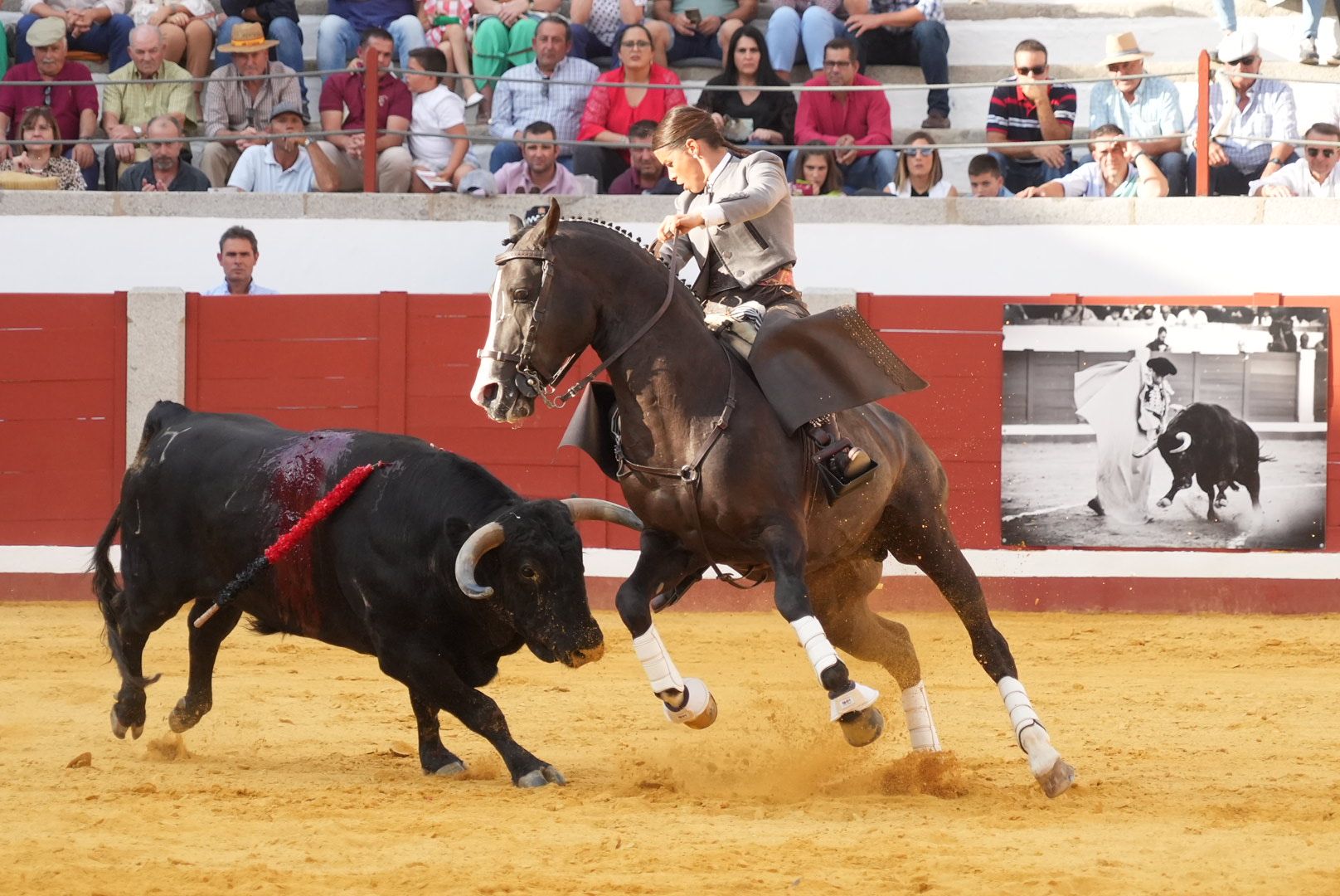 Puerta grande para Hermoso en la corrida de rejones en Pozoblanco