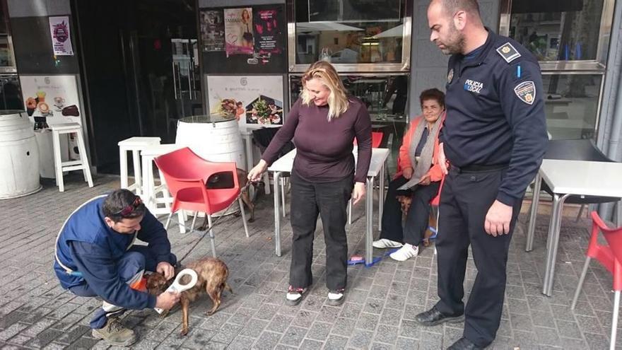 La campaña informativa se inició ayer en las calles del centro de sa Pobla.