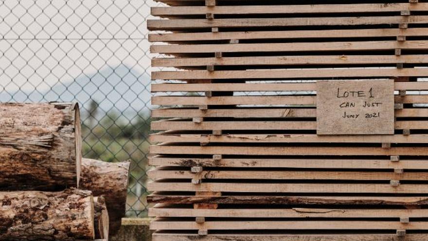 El proyecto Amarar, que el jueves se presenta en Vilafranca, nace tras el ‘cap de fibló’ de 2020 en Banyalbufar para convertir los pinos en muebles