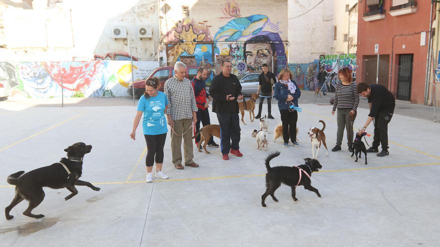 Dueños de perros con sus mascotas en la plaza de la calle Esperanza, el pasado miércoles.
