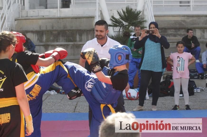 Fiesta del Deporte de Murcia (domingo)