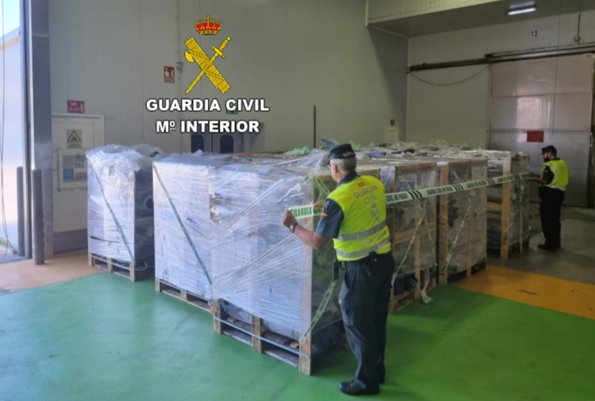 El pescado intervenido por la Guardia Civil. (Desmantelan un entramado de comercialización ilícita de pescado en Pontevedra). 1 septiembre 2023.