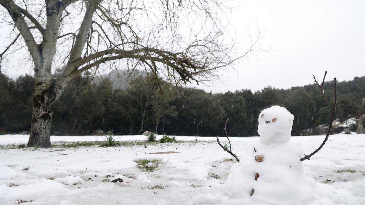 Mallorca registra la mayor nevada en cinco años