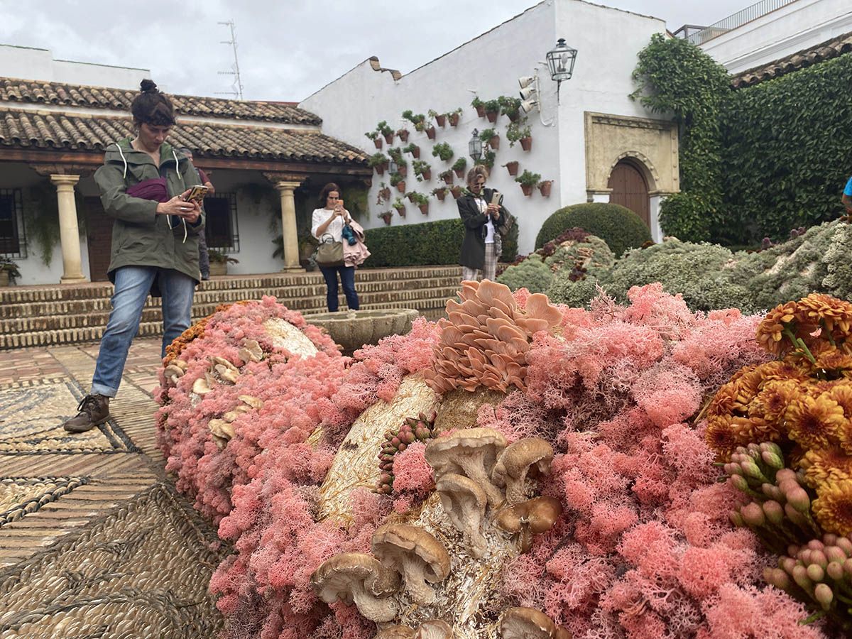 Córdoba Flora 2022 Cordero Atelier Palacio de Viana