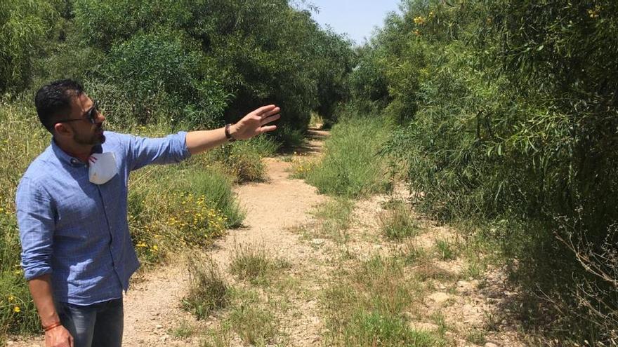 Dámaso Aparicio en el cauce de la rambla de Cabo Roig, repleta de vegetación invasora