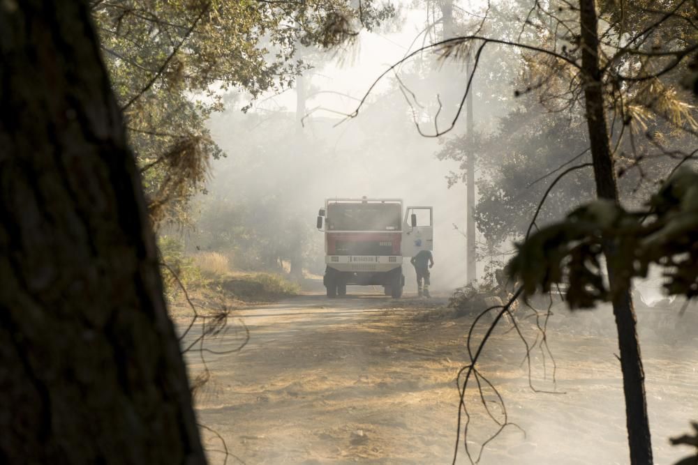 Cuatro vehículos calcinados en un incendio y otros