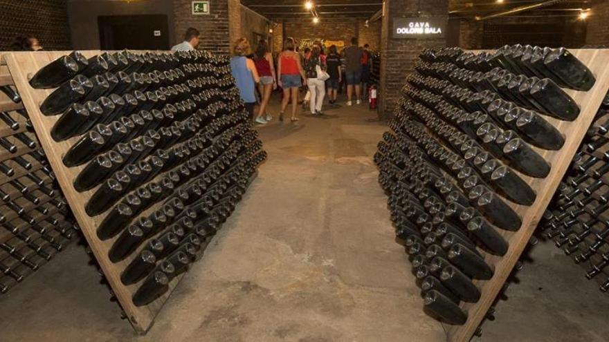 Una bodega de cava.