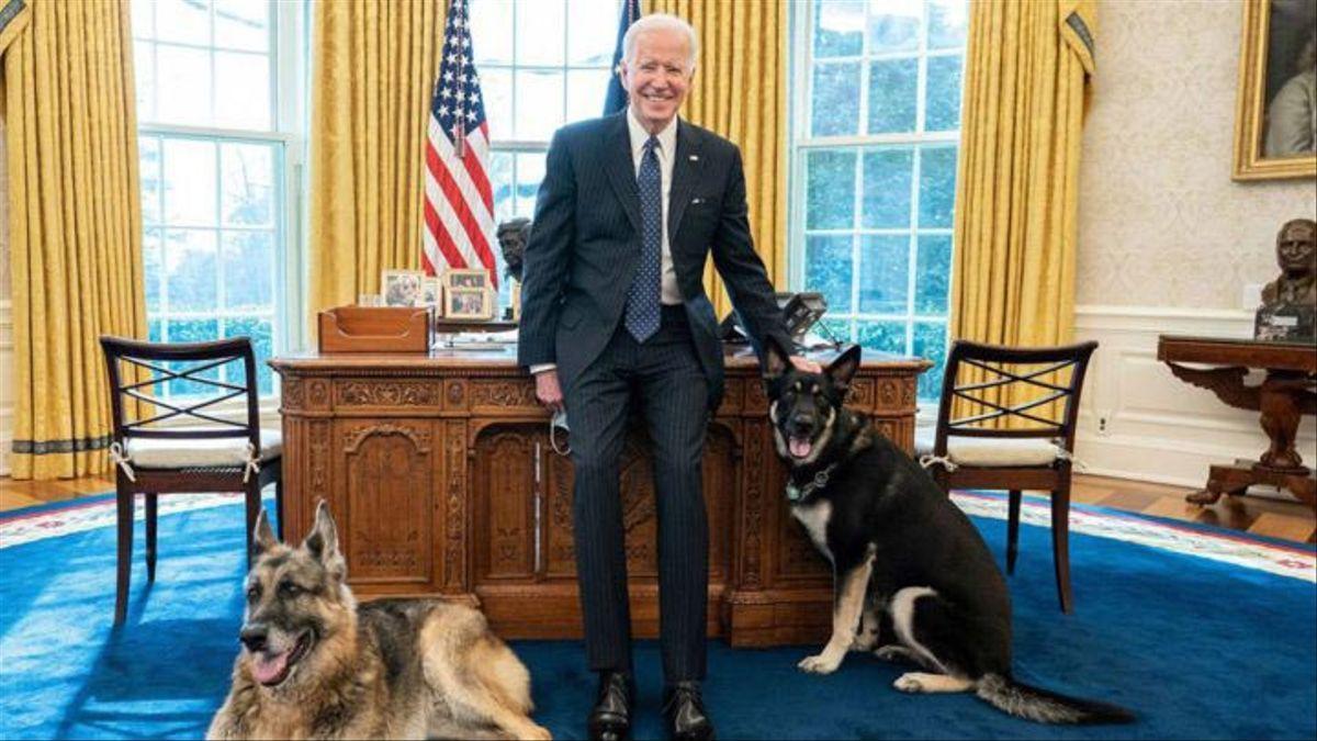 El perro rebelde de Joe Biden regresa a clase tras un nuevo incidente