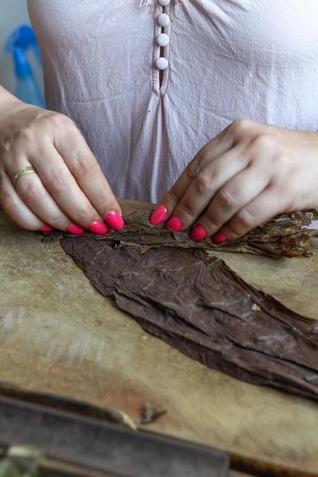 27-08-20  LAS PALMAS DE GRAN CANARIA. SCHAMANN. LAS PALMAS DE GRAN CANARIA.  Reportaje al único taller de puros artesanos que hay en la capital. El taller se llama Doble M y lo lleva Mercedes Martínez, ella es cubana y trae las hojas de tabaco desde la isla caribeña, todo lo hace a mano.  Fotos: Juan Castro.  | 27/08/2020 | Fotógrafo: Juan Carlos Castro