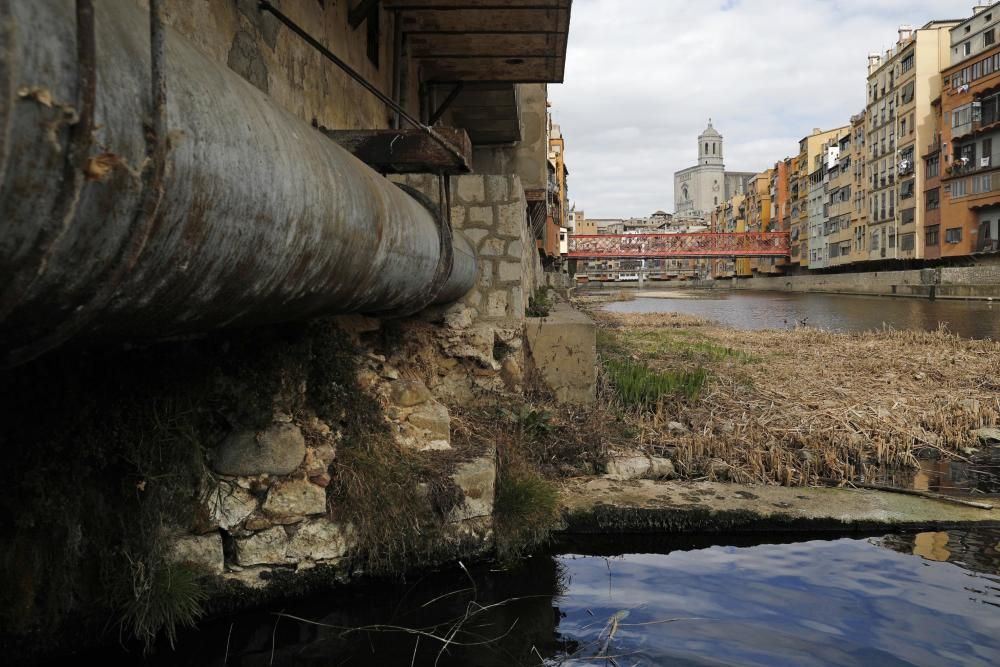 Dins les entranyes del Mercadal de Girona