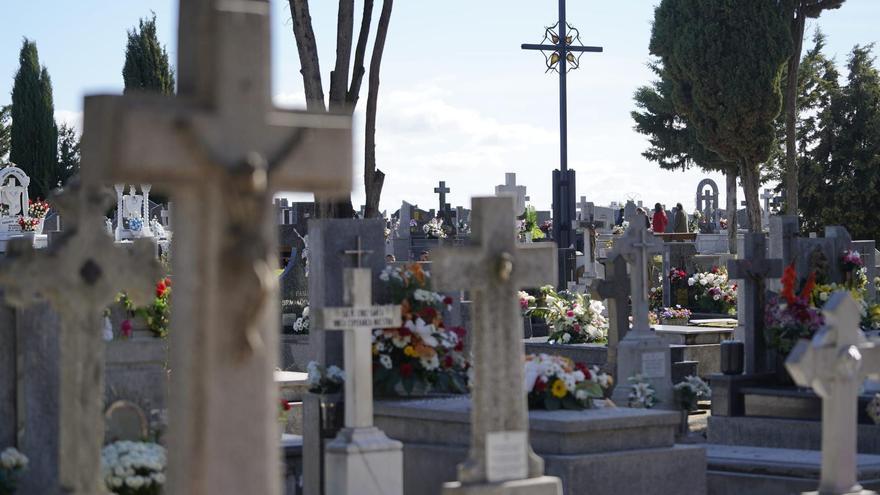 Autobuses cada 15 minutos para ir al cementerio de San Atilano de Zamora por Todos los Santos