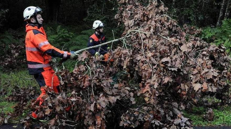 Emerxencias de A Estrada, retirando un árbol caído. // Bernabé / J. Lalín