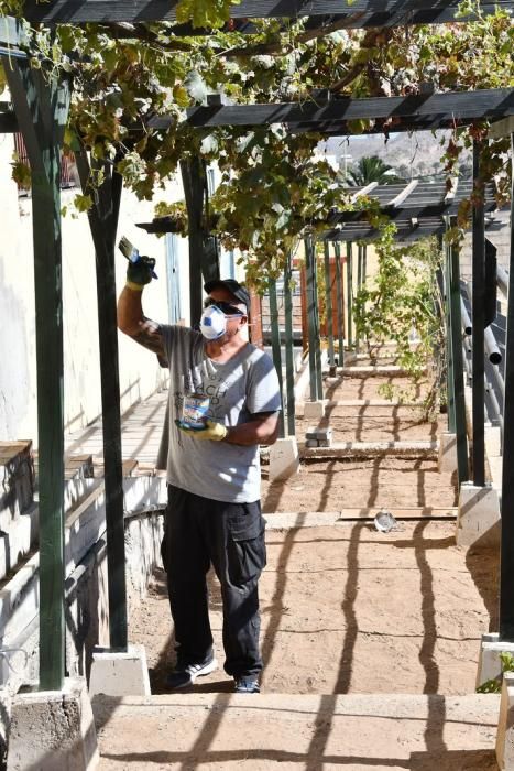 25/09/19 TELDE.  La antigua Fábrica de Azúcar de Telde, está siendo acondicionada por alumnos de PFAE.     FOTÓGRAFA: YAIZA SOCORRO.  | 25/09/2019 | Fotógrafo: Yaiza Socorro