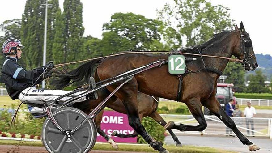 El caballo mallorquín Fibló de Font, con Jean-Philippe Monclin, ayer en París-Enghien.