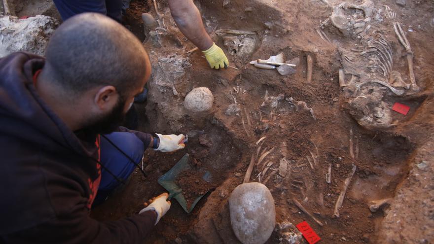 El Ayuntamiento de Córdoba espera adjudicar el contrato de las exhumaciones en septiembre