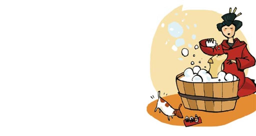 Un spa... sólo para perros