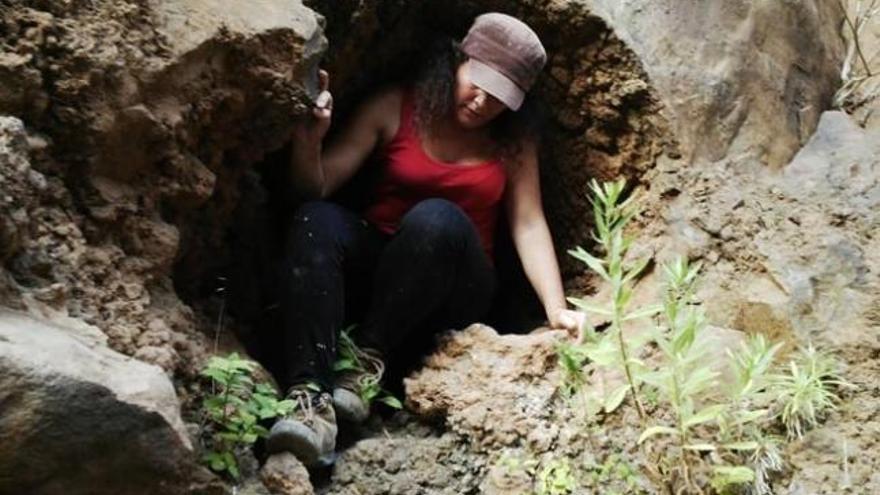 La Guardia Civil sigue a una mujer que dice haber hallado 700 momias guanches