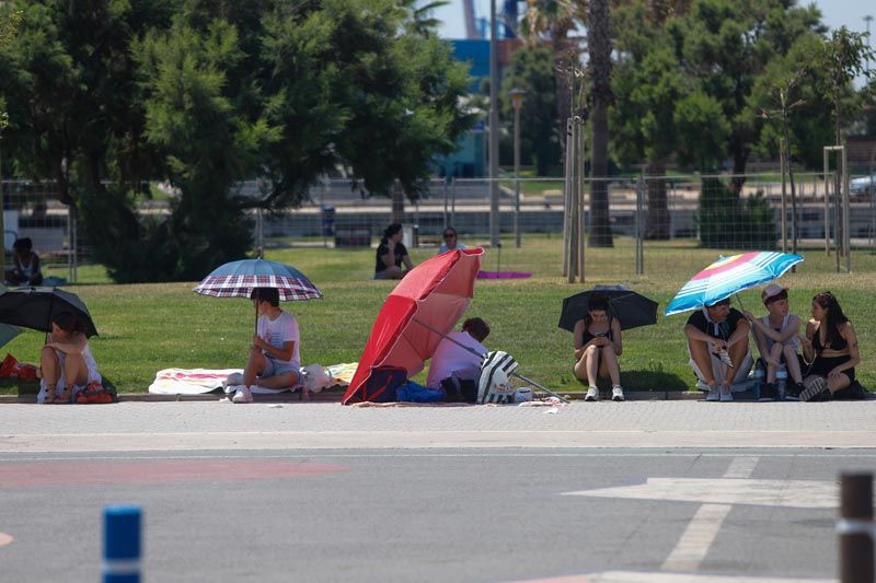 Colas para ver a Rosalía en plena ola de calor en València