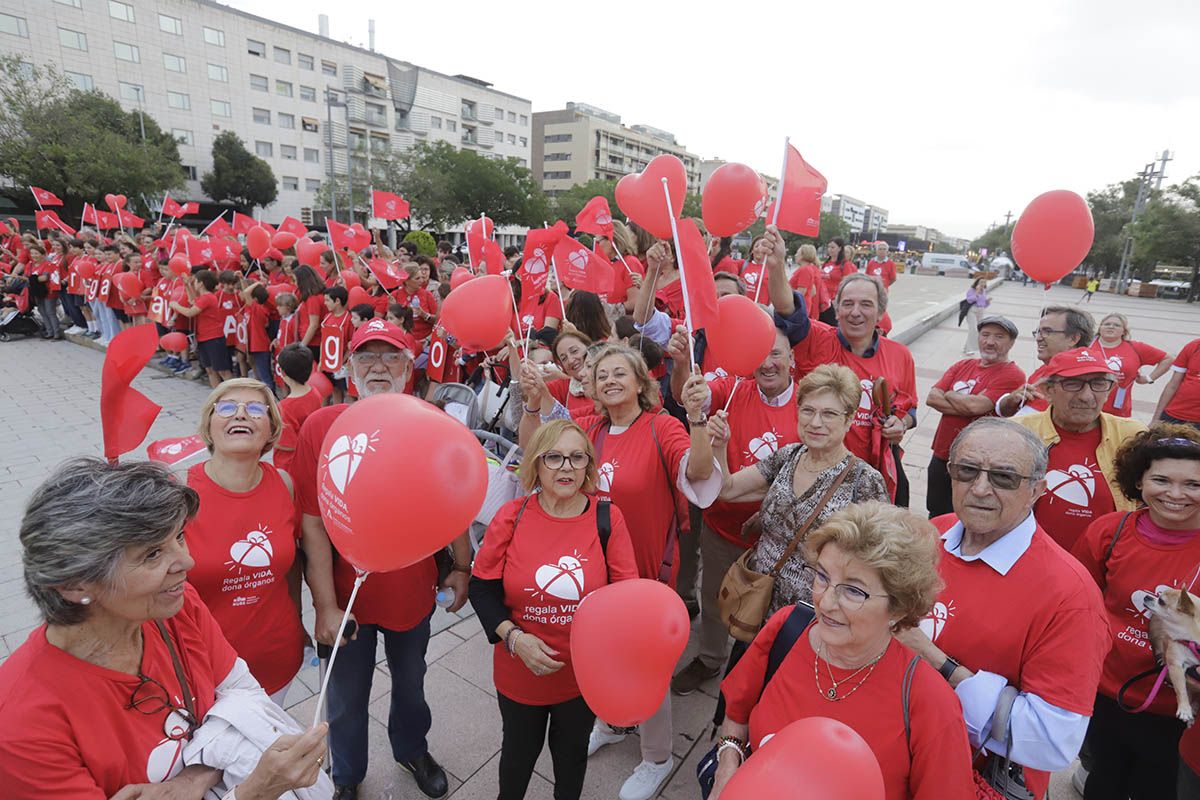 La marcha de la donación, en imágenes