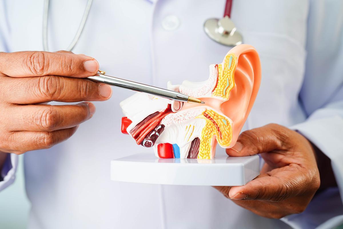 Del vértigo a la rinitis: avances en el tratamiento de las patologías más frecuentes en otorrinolaringología