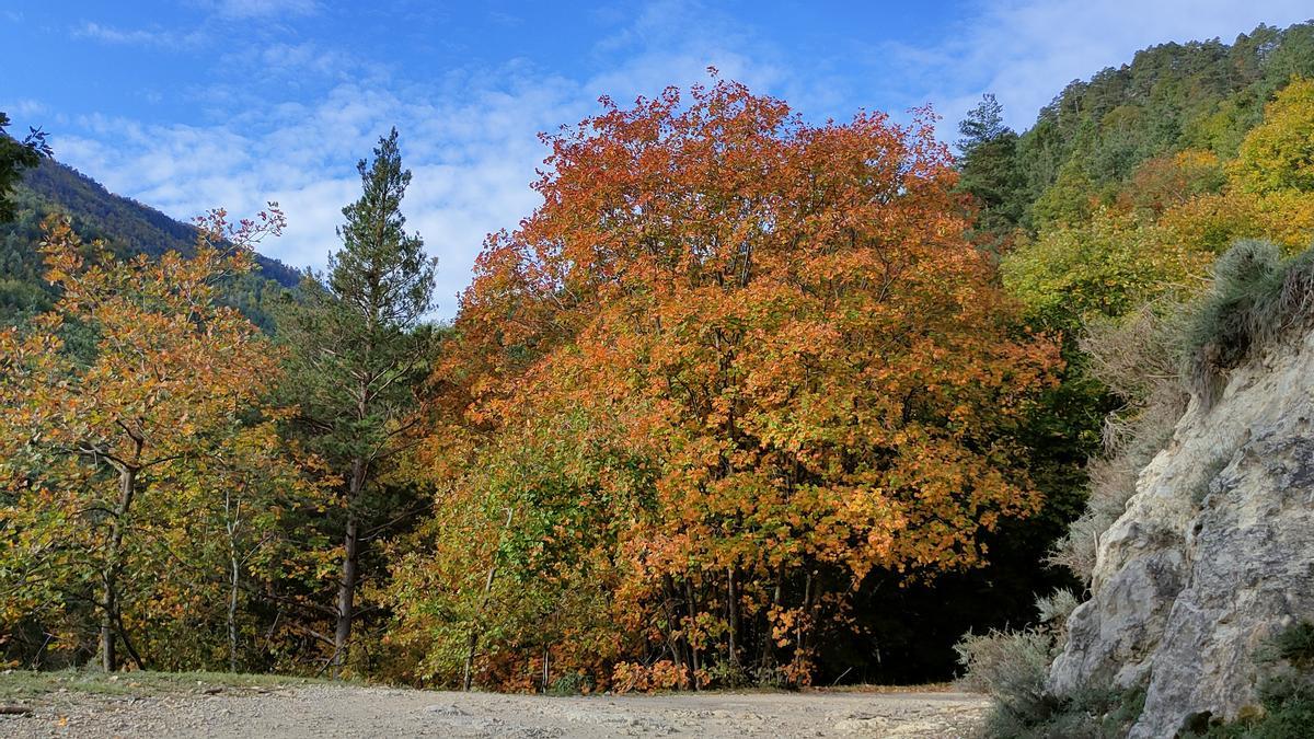 La Pobla de Lillet i els colors de tardor.