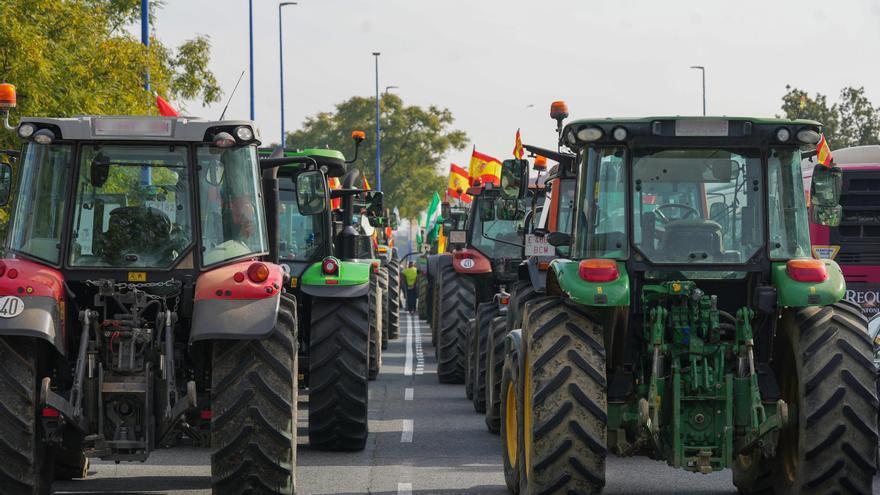Una gran tractorada, con más de un centenar de vehículos, se manifestará en Palma el 19 de febrero en defensa del sector agrícola