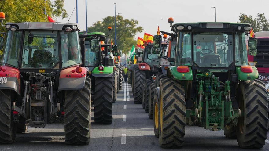 ¿Qué reclaman los agricultores españoles? Los motivos de las protestas