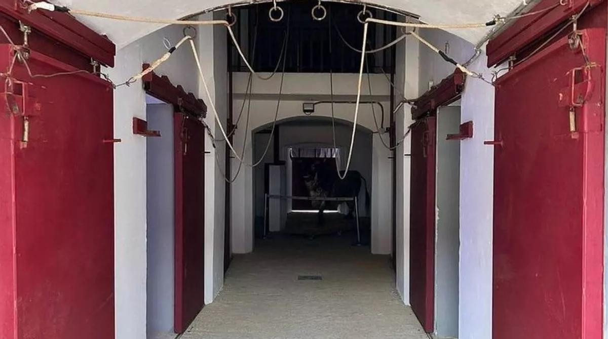 Zona de corrales de La Malagueta.