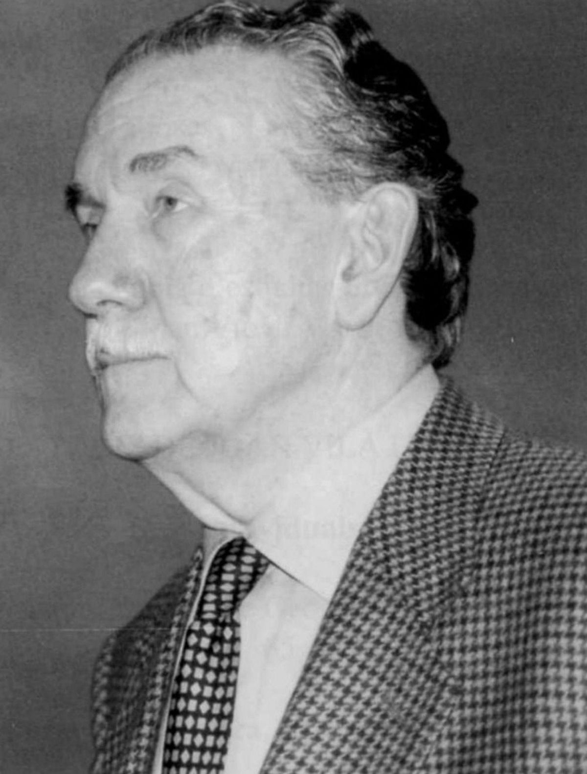 Llibre de Joan Vilà Valentí. / D.I.