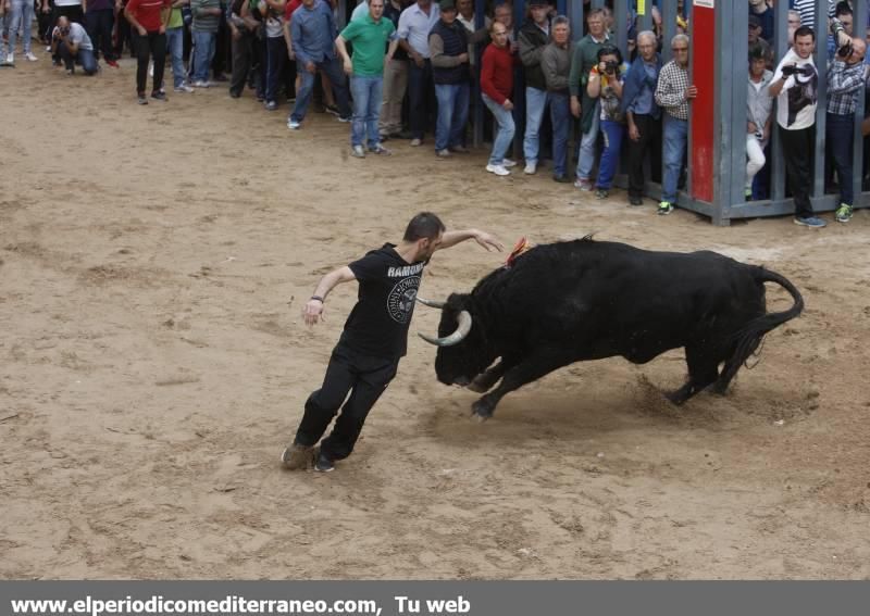 Bou per la vila en Vila-real