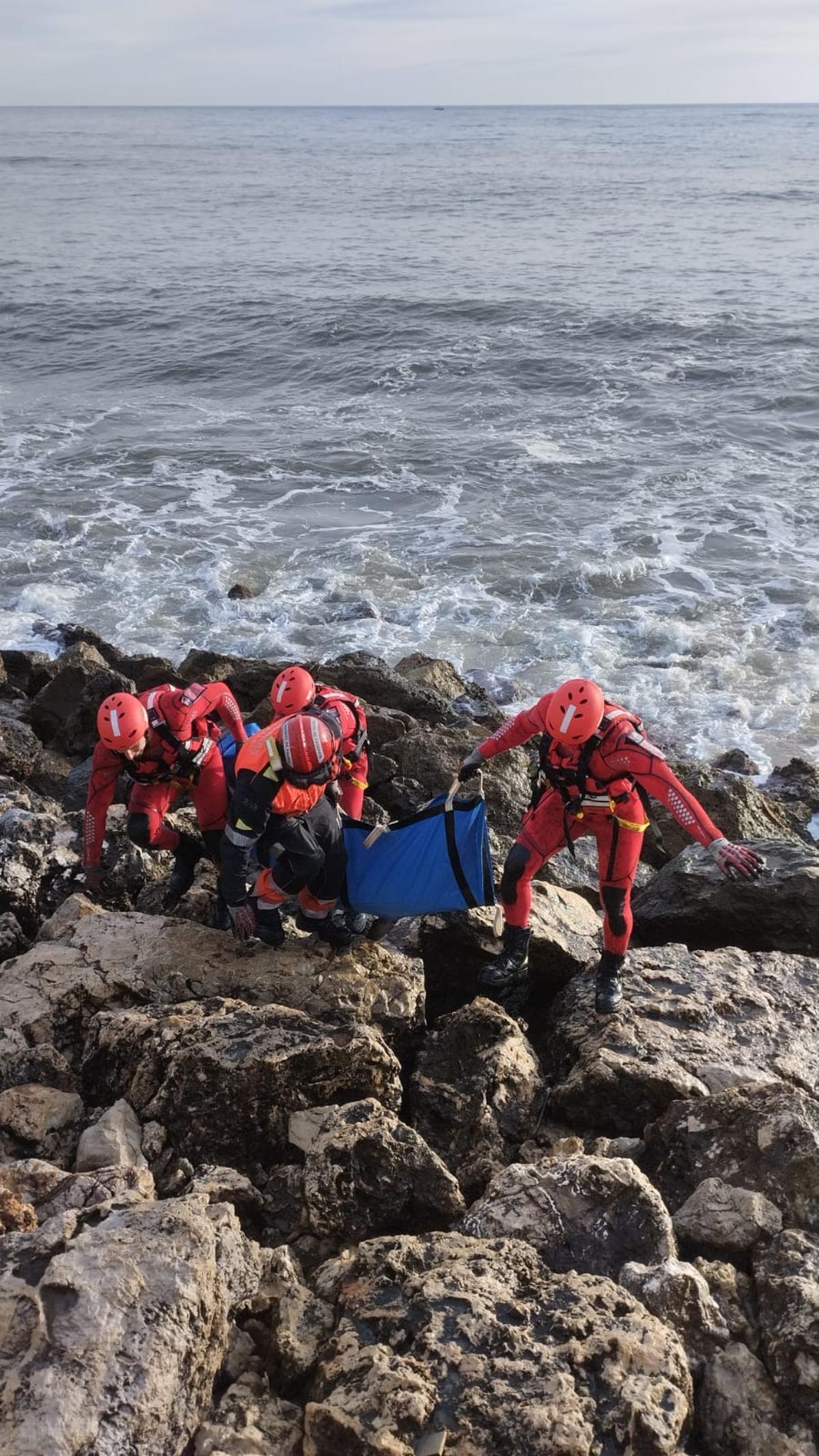Los bomberos retiran el delfín que ha muerto esta tarde en el espigón del Moll Vell.