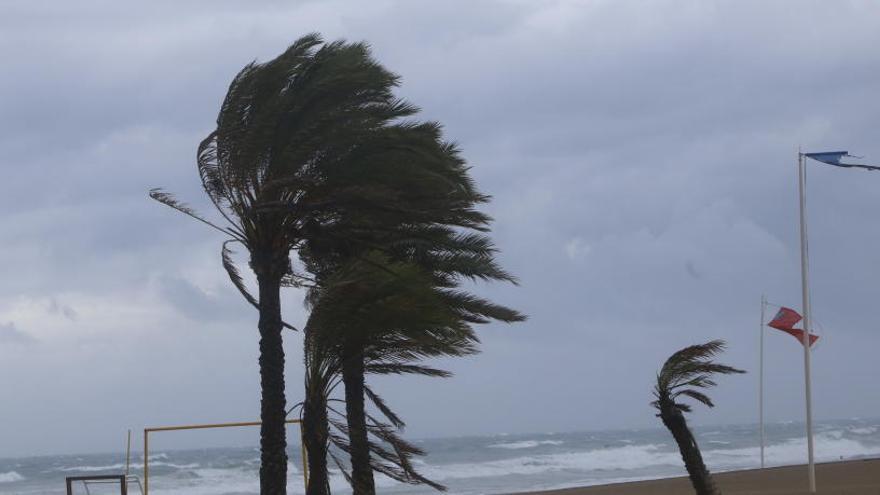 Alicante prohíbe instalar veladores y suspende actividades al aire libre por la amenaza del viento