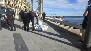Una trifulca entre la Policía Local de Torrevieja y un grupo de manteros se salda con tres agentes heridos