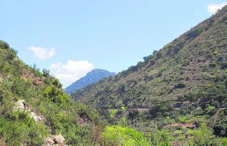 Uno de los parajes por los
que discurre la ruta. | MEDITERRÁNEO
