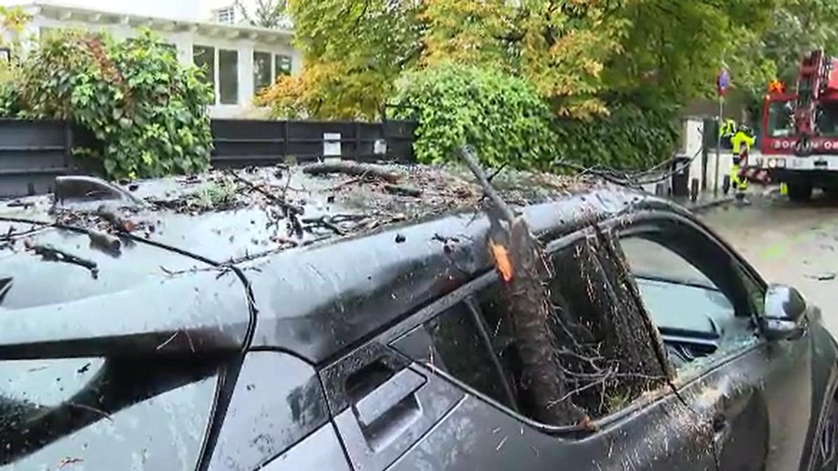 La caída de un árbol deja una joven fallecida y cinco heridos en Madrid