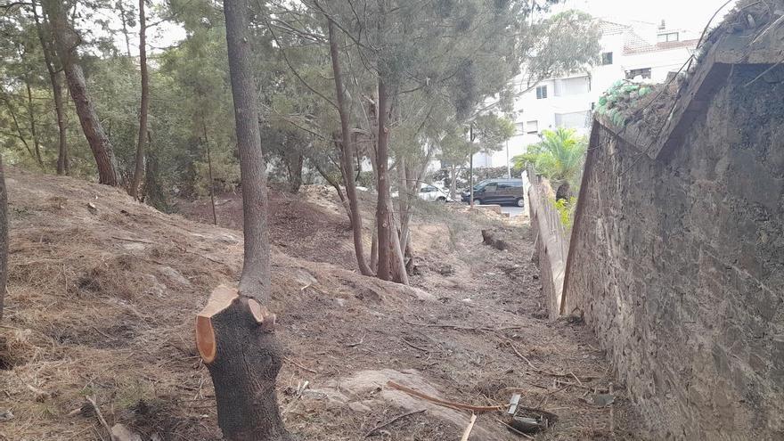 Málaga inicia los trabajos de prevención de incendios en los parques de la ciudad