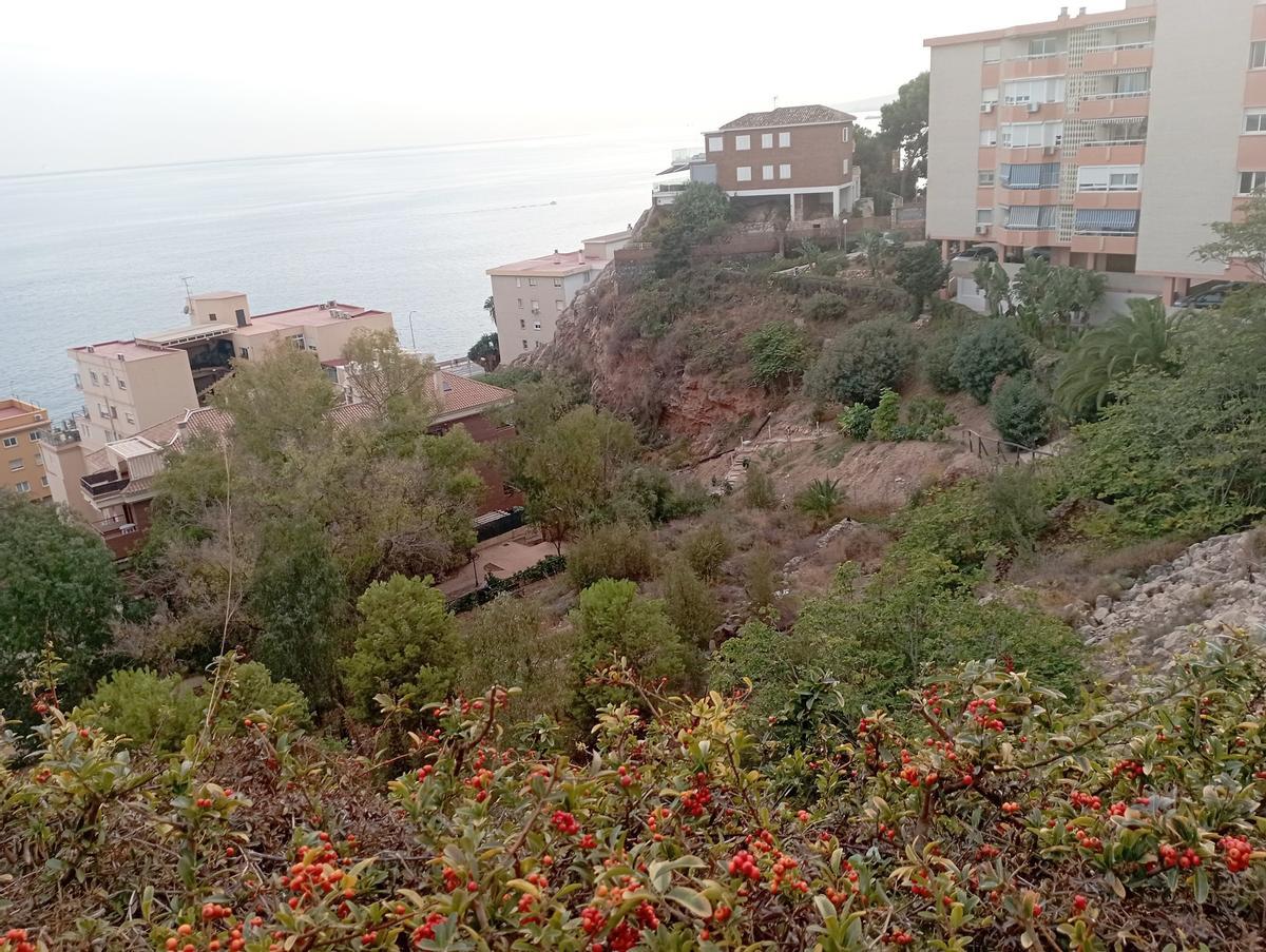 La parcela municipal para comunicar los Baños del Carmen con el Parque del Morlaco, desde la sede del OMAU en noviembre pasado.