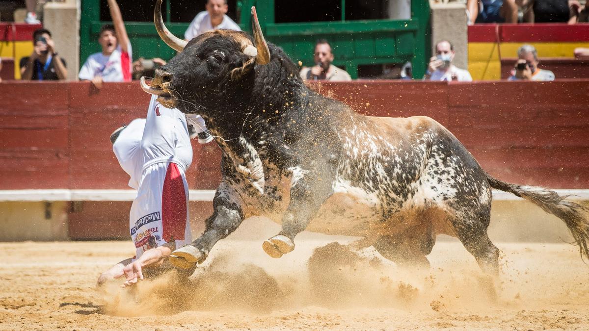 El francés Baptiste Bordés sufrió una aparatosa cogida en la final.